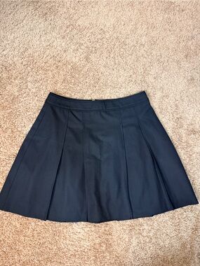 The Limited Black Collection Women’s Size 4 Pleated A-Line Mini Skirt Academia